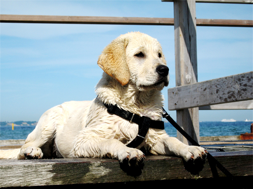 He says he isn’t sure if he is ready to give up his single life?