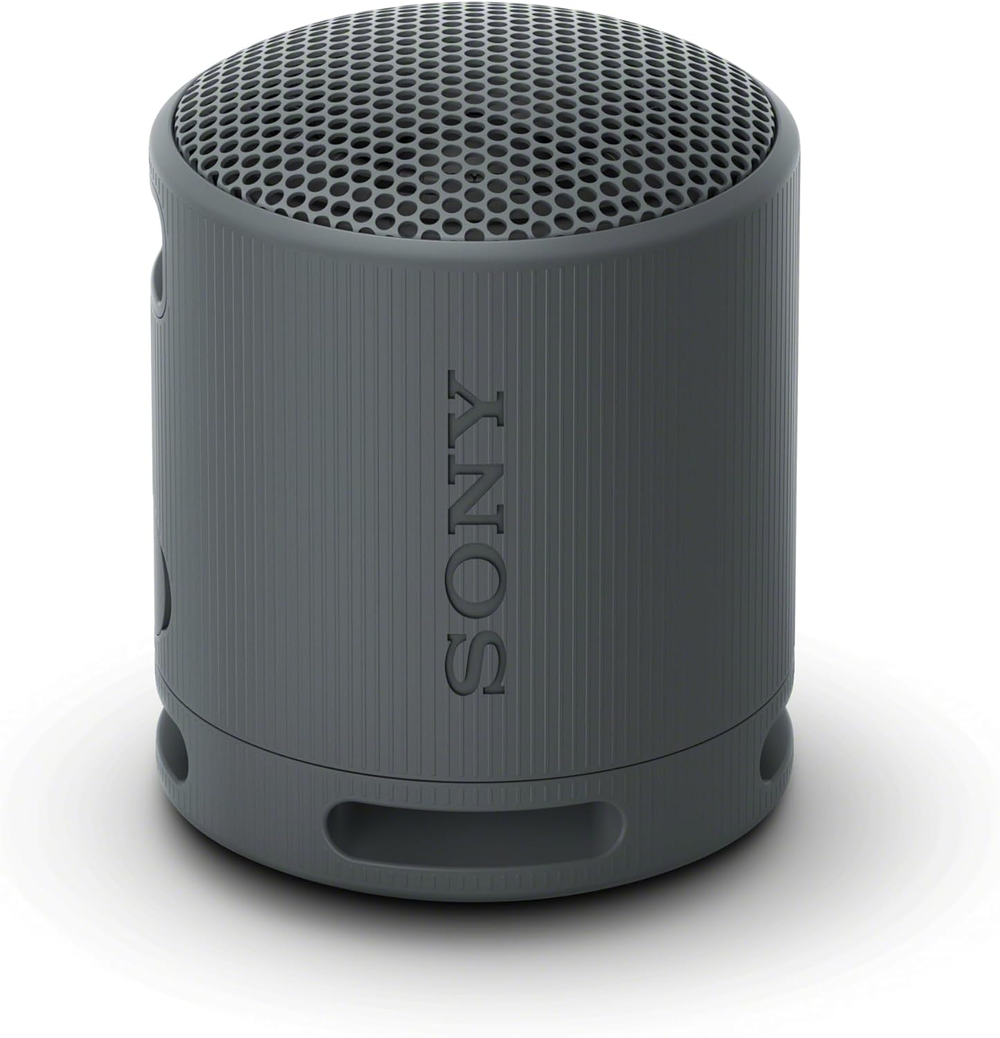 Sony SRS-XB100 Portable Bluetooth Speaker